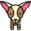Chihuahua icon 64x64