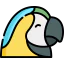 Macaw icon 64x64