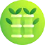 Sugar cane icon 64x64