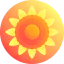 Sunflower icon 64x64