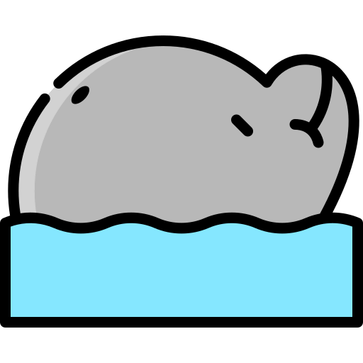 Dolphin icon