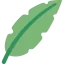 Palm icon 64x64