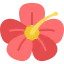 Flower icon 64x64