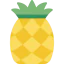 Pineapple icon 64x64