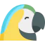 Macaw icon 64x64