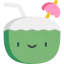 Coconut icon 64x64