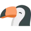 Toucan icon 64x64