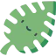 Leaf icon 64x64