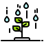 Sprout icon 64x64