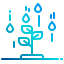 Sprout icon 64x64