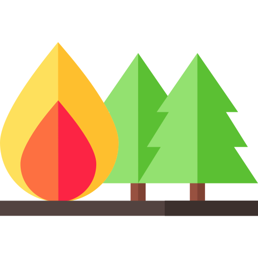 Fire icon