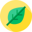 Leaf icon 64x64