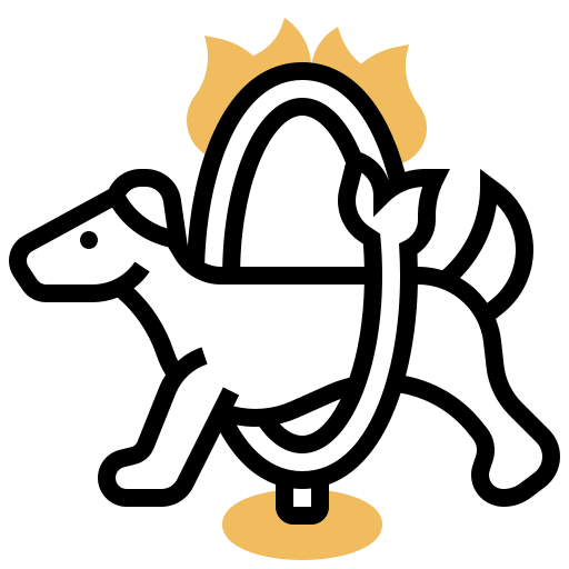 Ring icon