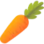 Carrot icon 64x64