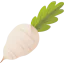 Turnip Ikona 64x64
