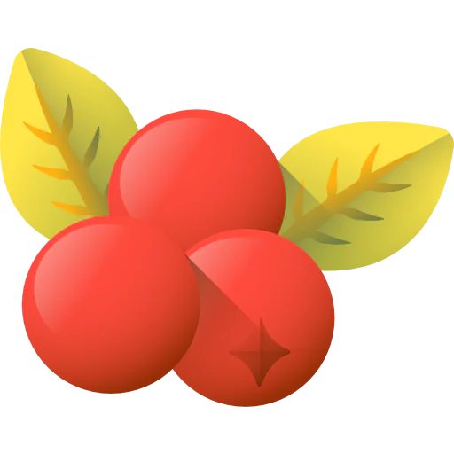 Berries icon
