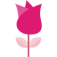 Rose icon 64x64