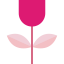 Flower icon 64x64