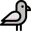 Pigeon icon 64x64