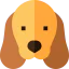 Cocker spaniel icon 64x64