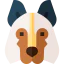 Belgian shepherd іконка 64x64