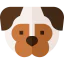 Pug icon 64x64