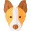 Andalusian hound icon 64x64
