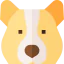 Corgi Symbol 64x64