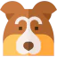 Shetland sheepdog icon 64x64
