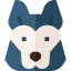 Siberian husky icon 64x64