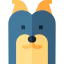 Yorkshire terrier icon 64x64