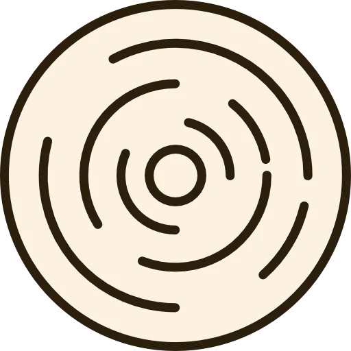 Recording icon