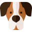 Saint bernard icon 64x64