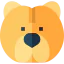 Chow chow icon 64x64