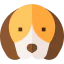 Beagle Ikona 64x64