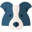 Border collie icon 64x64
