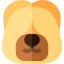 Briard icon 64x64
