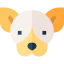 Chihuahua icon 64x64