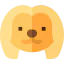 Pekingese icon 64x64