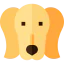 Saluki icon 64x64