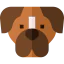 Boxer icon 64x64