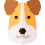 Fox terrier icon 64x64
