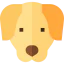 Golden retriever icon 64x64