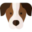 English pointer icon 64x64