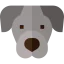 Weimaraner icon 64x64