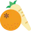 Vegetables icon 64x64