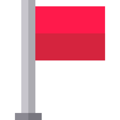 Flag icon