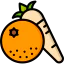 Vegetables icon 64x64