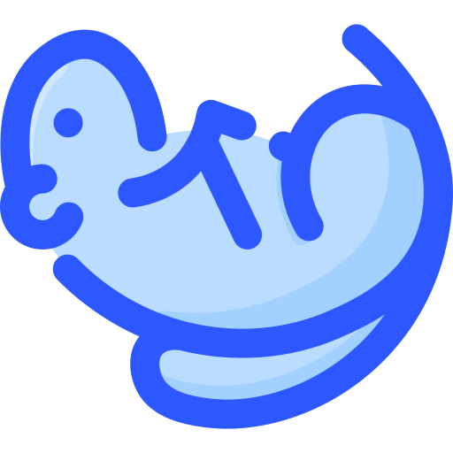 Groundhog icon