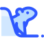 Groundhog icon 64x64
